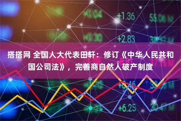 搭搭网 全国人大代表田轩：修订《中华人民共和国公司法》，完善商自然人破产制度