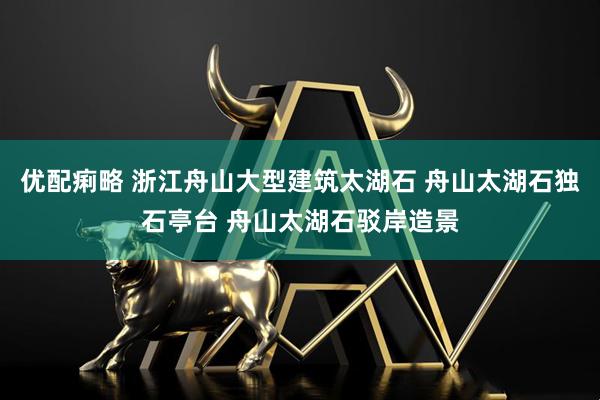 优配痢略 浙江舟山大型建筑太湖石 舟山太湖石独石亭台 舟山太湖石驳岸造景