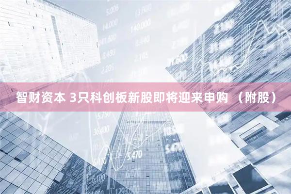 智财资本 3只科创板新股即将迎来申购 （附股）