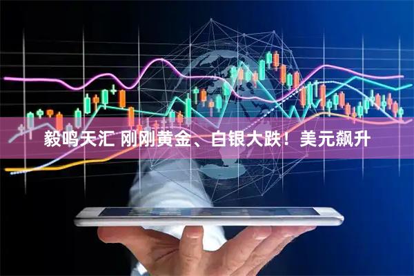 毅鸣天汇 刚刚黄金、白银大跌！美元飙升