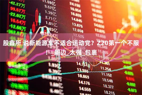 股鑫所 说新能源车不适合运动党？Z20第一个不服！_周边_太强_包裹