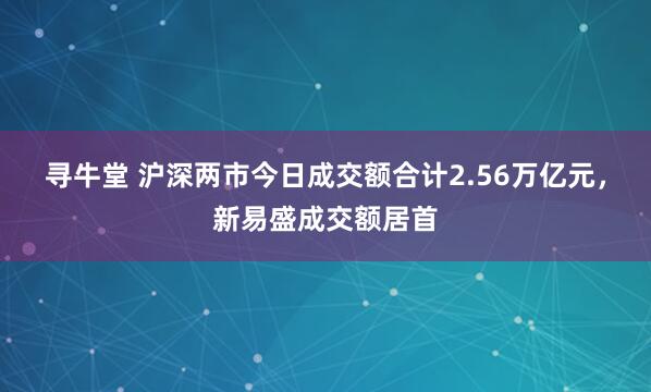 寻牛堂 沪深两市今日成交额合计2.56万亿元，新易盛成交额居首